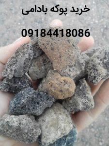 پوکه گردویی